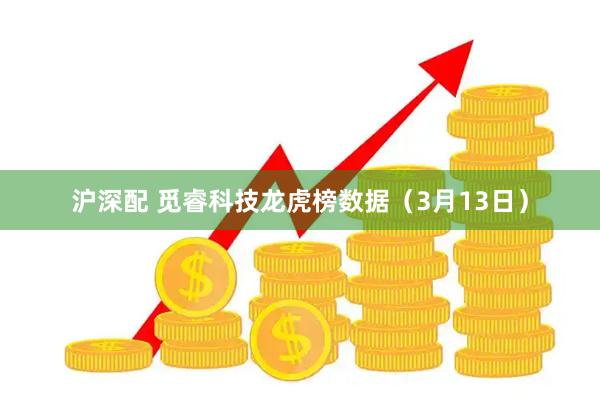 沪深配 觅睿科技龙虎榜数据（3月13日）