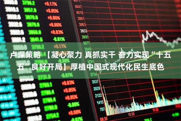 卢深策略 【凝心聚力 真抓实干 奋力实现“十五五”良好开局】厚植中国式现代化民生底色