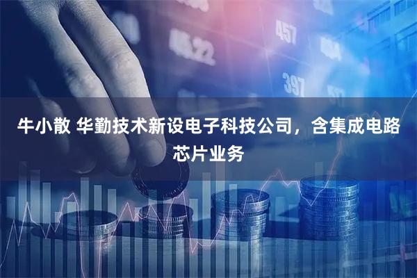 牛小散 华勤技术新设电子科技公司，含集成电路芯片业务