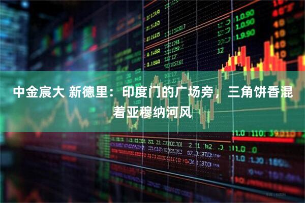 中金宸大 新德里：印度门的广场旁，三角饼香混着亚穆纳河风