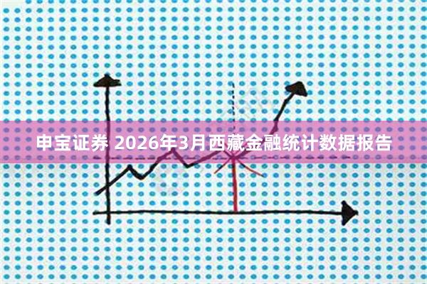 申宝证券 2026年3月西藏金融统计数据报告