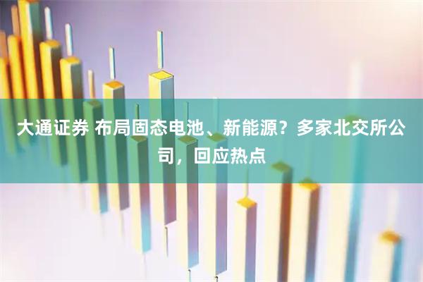 大通证券 布局固态电池、新能源?多家北交所公司,回应热点